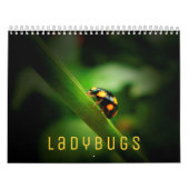 Ladybugs [2] Calendrier mural (Protection)