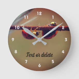 Ladybugs balanceren Sluiten Aangepast op Ronde Klok