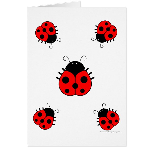 Ladybugs Blank (Voorkant)