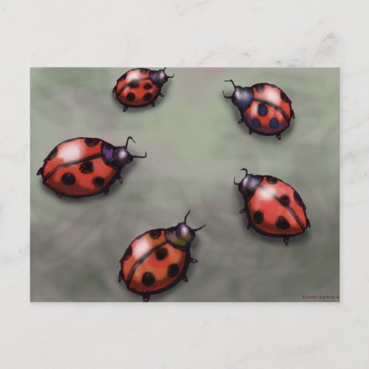 Ladybugs Briefkaart (Voorkant)