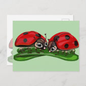 Ladybugs  briefkaart (Voorkant / Achterkant)