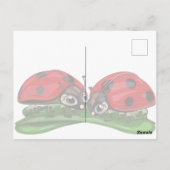 Ladybugs  briefkaart (Achterkant)