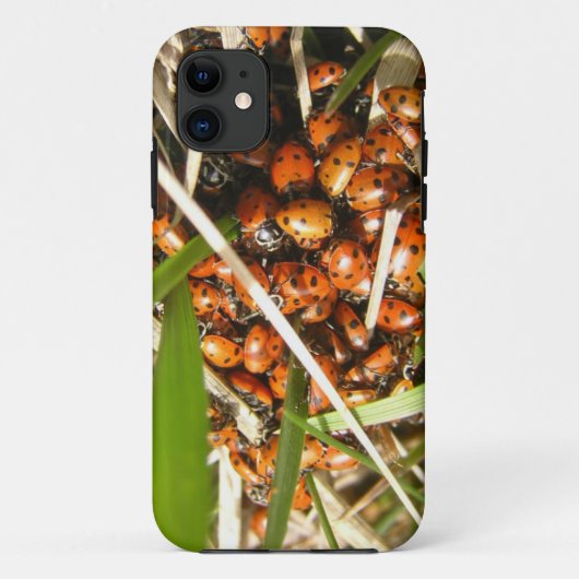 Ladybugs (Coccinellidae) Case-Mate iPhone Case (Achterkant)