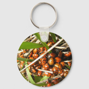 Ladybugs (Coccinellidae) Sleutelhanger
