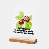 Ladybugs friendship quote funny Anniversary BFF (Angle)
