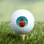 Ladybugs Golfballen (Insitu Shirt)