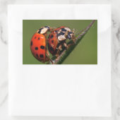 Ladybugs in Love Rechthoekige Sticker (Tas)