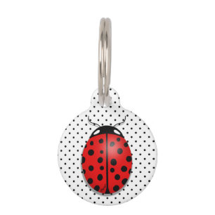 Ladybugs in rood huisdierpenning