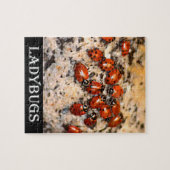 Ladybugs Legpuzzel (Horizontaal)
