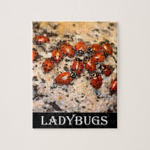 Ladybugs Legpuzzel