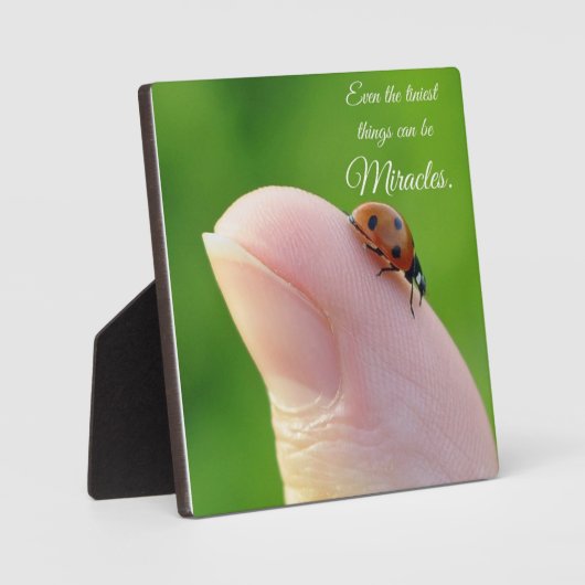 Ladybugs "Les plus petits miracles" Plaque cadeau (Recto)