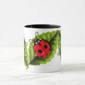 Ladybugs Mok (Midden)