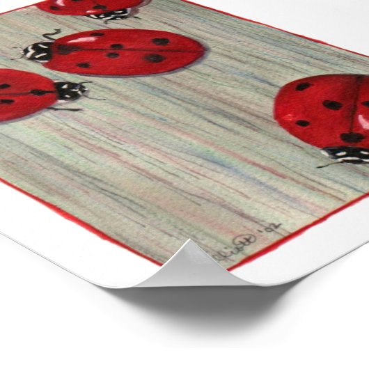 Ladybugs! Poster (Hoek)
