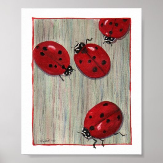 Ladybugs! Poster (Voorkant)