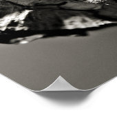 Ladybugs Poster (Hoek)