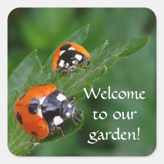 LADYBUGS ~ Square Sticker (Voorkant)