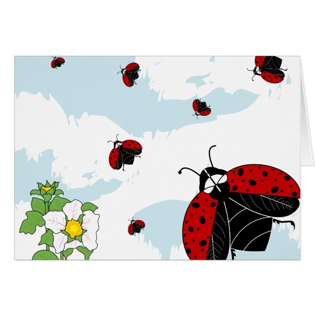 ladybugs tijdens de vlucht (Voorkant Horizontaal)
