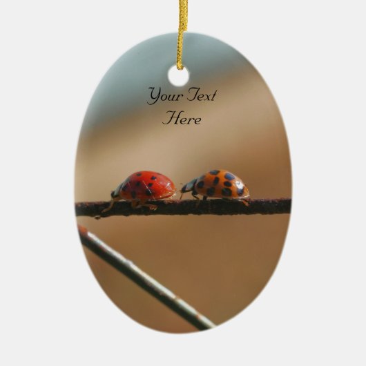 Ladybugs volgen Leader Cute Natuur Ornament (Voorkant)