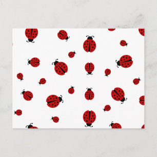 ladybugz. briefkaart
