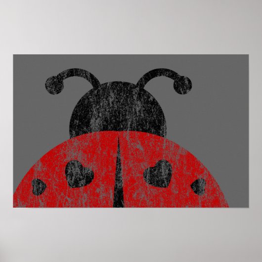 ladybugz. poster (Voorkant)