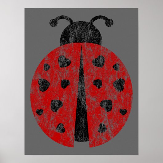 ladybugz. poster (Voorkant)