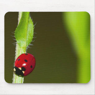 Ladykever mousepad muismat