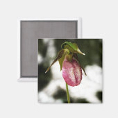 Lady's Slipper #8299 Magnet Magneet (Voorkant / Achterkant)