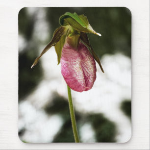 Lady's Slipper #8299 Mousepad Muismat