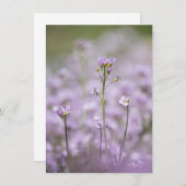 Lady's Smock Nature Carte photo (Devant / Derrière)