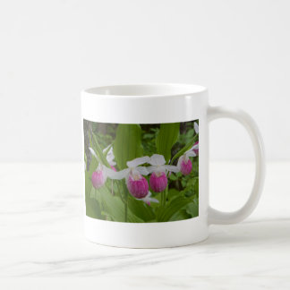 ladyslipper koffiemok