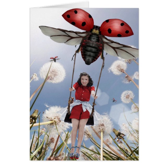 Ladyvogelzaag (Voorkant)