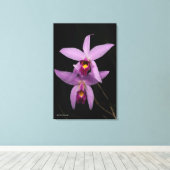 Laelia Anceps Canvas Afdruk (Insitu (Houten vloer))