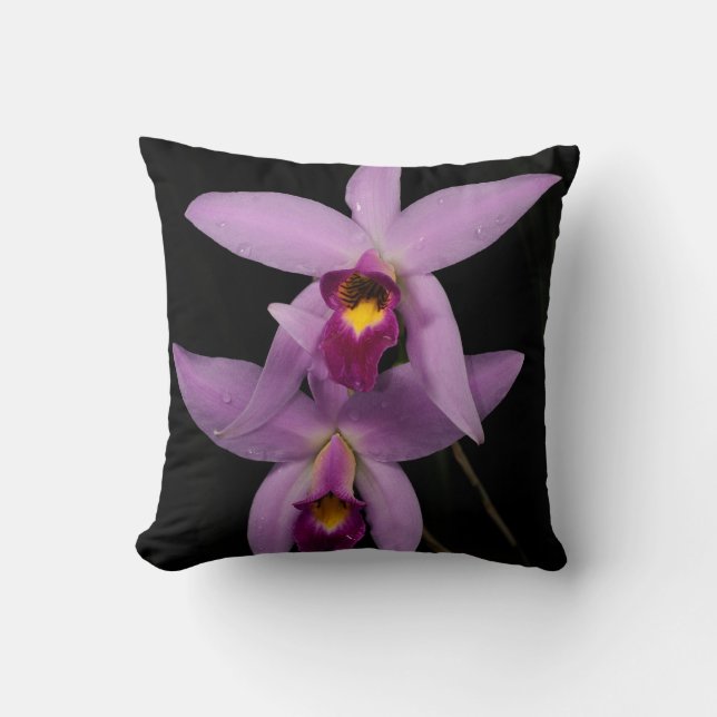 Laelia Anceps Kussen (Voorkant)