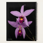Laelia Anceps Planner (Achterkant)
