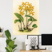  Laelia Flava Orchidee Flower Poster (Thuiskantoor)