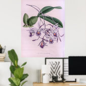 Laeliopsis Domingensis Orchid Poster (Thuiskantoor)
