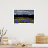 Lafayette Lupine Mindscape Poster (Keuken)