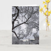 Lafayette Square, sneeuwbomen Kaart (Gele Bloem)