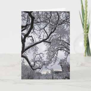 Lafayette Square, sneeuwbomen Kaart