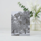 Lafayette Square, Washington, DC, winterpad Briefkaart (Staand voorkant)