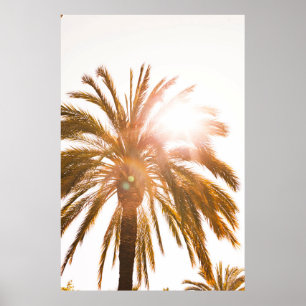 Lage hoekfotografie palmboom poster