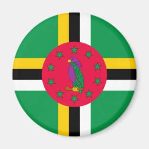 Lage kosten! Dominica Flag Magneet