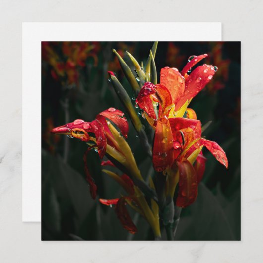 Lager - Bedankt - kaart (Voorkant / Achterkant)