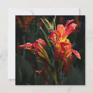 Lager - Bedankt - kaart