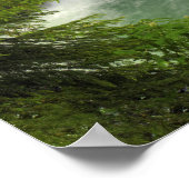 Lager herfst, Johnston Canyon Poster (Hoek)