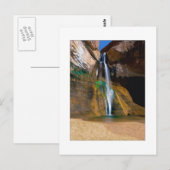 "Lager kalf Creek Herfsten" Briefkaart (Voorkant / Achterkant)