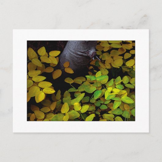 "Lager niveau" Briefkaart (Voorkant)