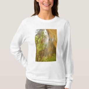 Lagere Emerald Pool-waterval Rood gesteente en boo T-shirt