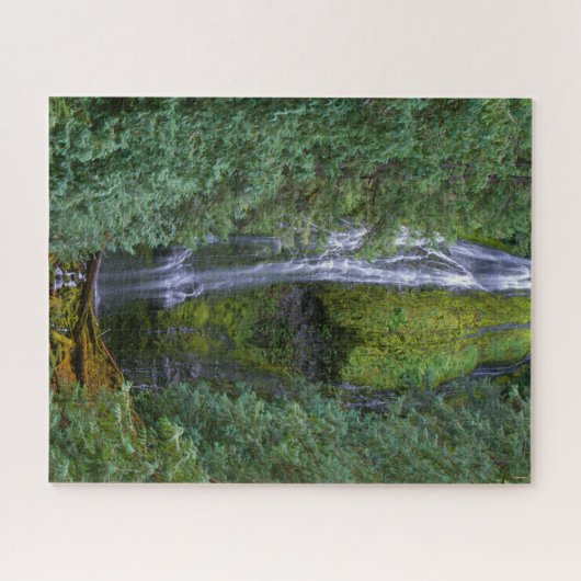 Lagere Herfsten | Nationaal woud van Willamette Legpuzzel (Horizontaal)