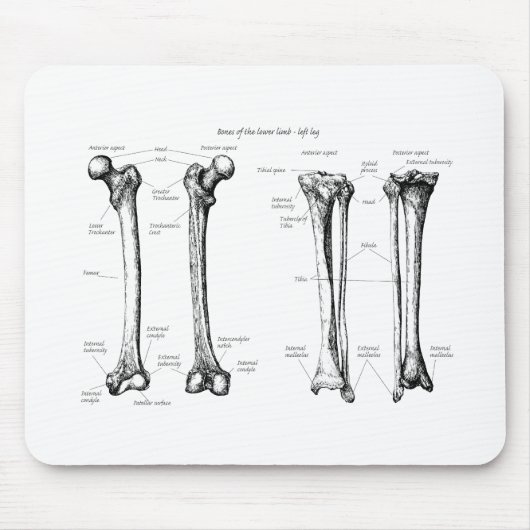 Lagere ledemaat grijs muismat (Voorkant)